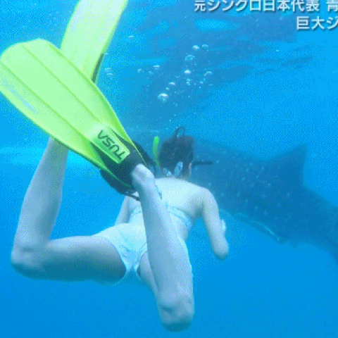 青木愛のハミマンハプニングGIF画像