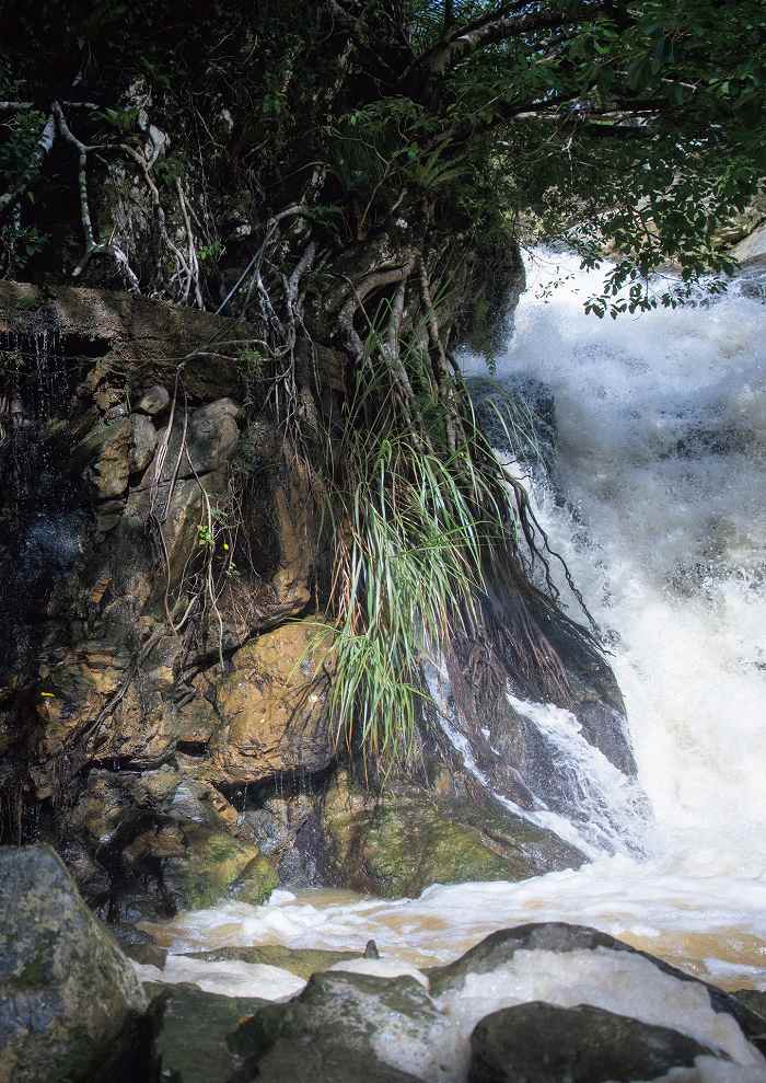 美乃すずめ 画像010